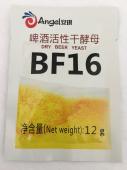 Изображение загружено обработкой
